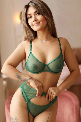 +91-9711168618 High Class Call Girls in Noida Sector 10 Escorts Service